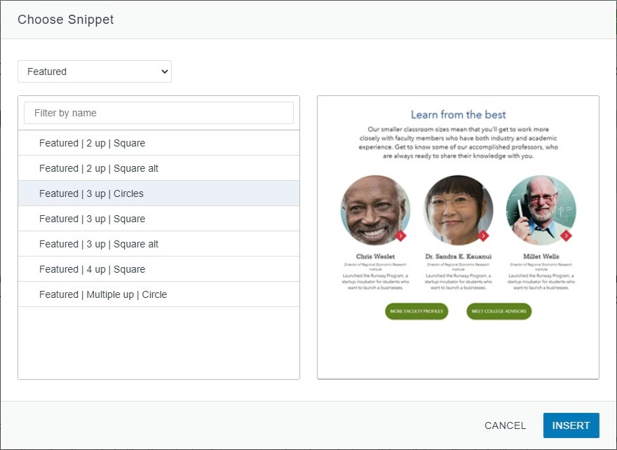 select snippet dialog