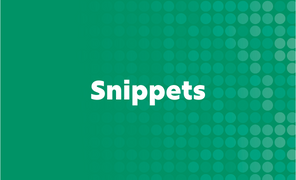 CMS Snippets