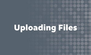 CMS Uploading Files
