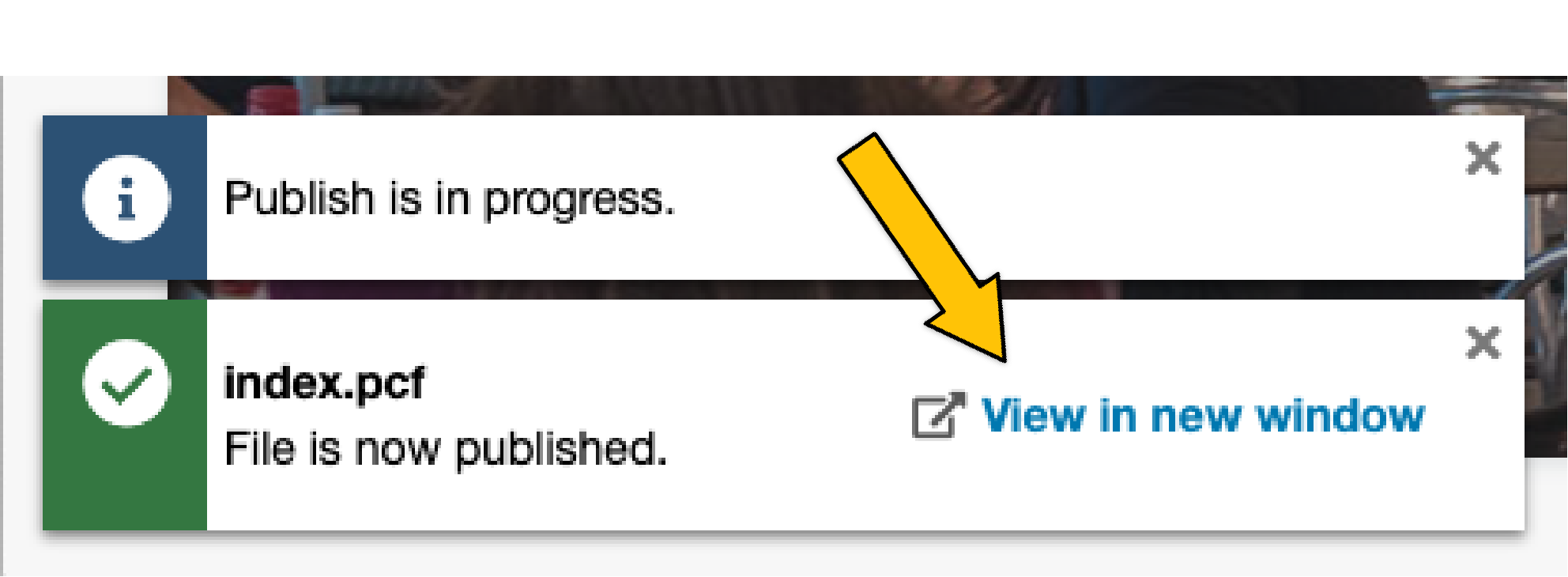 URL at the bottom of the screen on publish