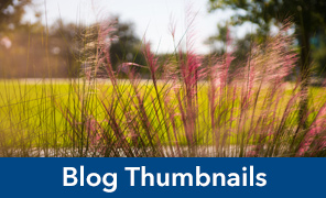 Example of thumbnail