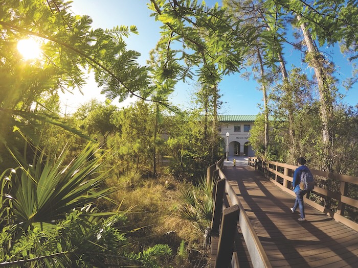 Outdoor view of the brown boardwalk that leads to Merwin Hall. A student wearing jeans, a blue sweater and a multicolored backpack can be seen walking on the boardwalk. The boardwalk is surrounded by trees, ferns, tall grass and vegetation. A light post can be seen at the end of the boardwalk, in front of Merwin Hall. 