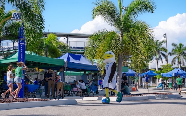 FGCU eagle mascot Azul is walking among the crowd at Swanson Stadium.