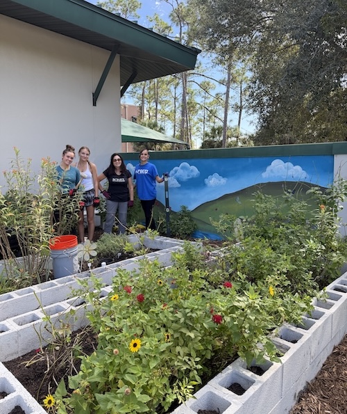 Where curiosity takes root: cultivating a living classroom