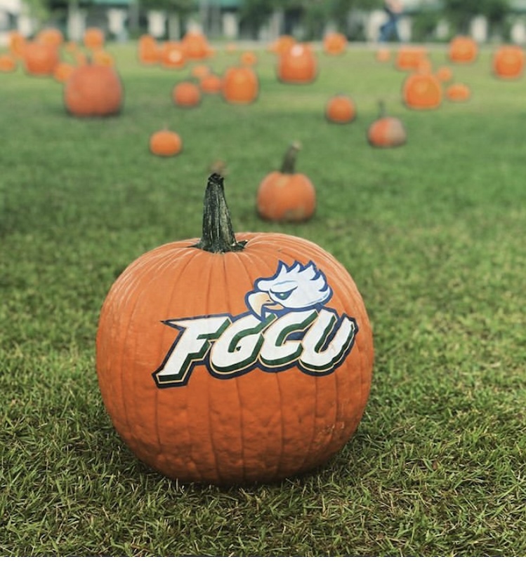 An orange pumpkin is placed on a field of grass with the FGCU and eagle logo painted in white and outlined in green and blue on it. In the background are various pumpkins in many sizes displayed on the same field of grass.