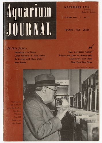 Cover of the November 1952 issue of Aquarium Journal, showing the title at the top and a black-and-white photo of a person examining rows of aquariums along the bottom.