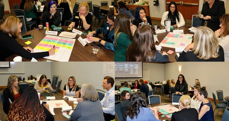 graphic with pictures of swfl partners brainstorming ideas to support the healthspan projects