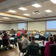 Image of Holly Brown ( Program Director of Golisano Intellectual and Developmental Disabilities Nursing Initiative GIDDN) presenting at Mental Health and Special Needs Seminar