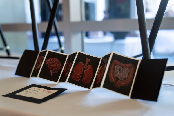 medical art display 2