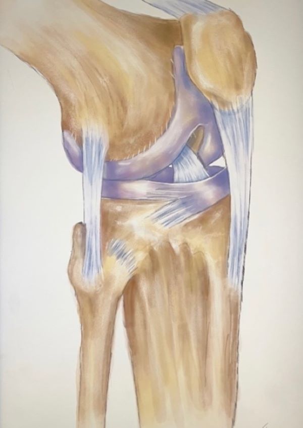 med art knee