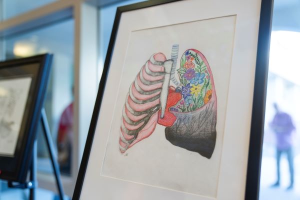 medical arts artwork