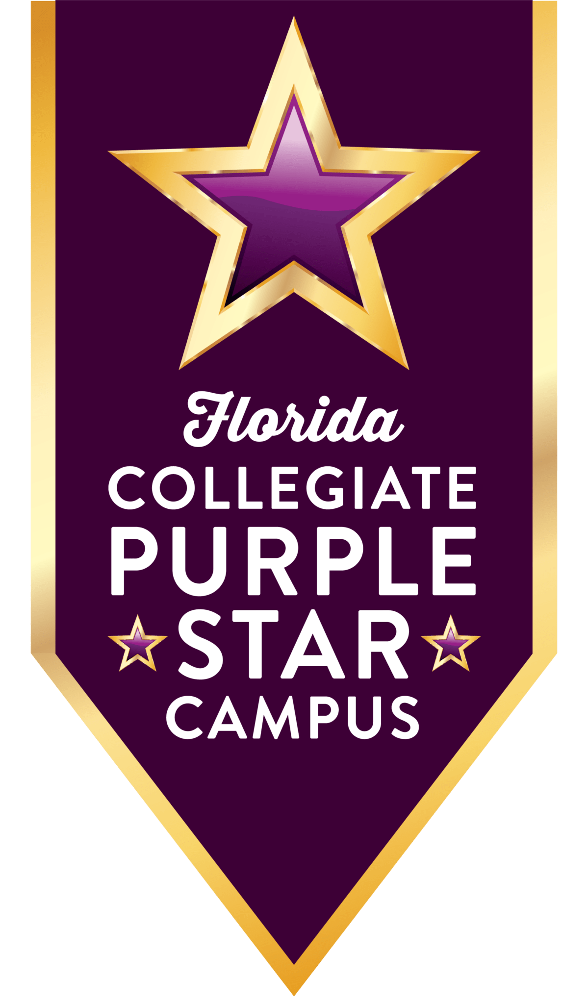 Purple Star Banner