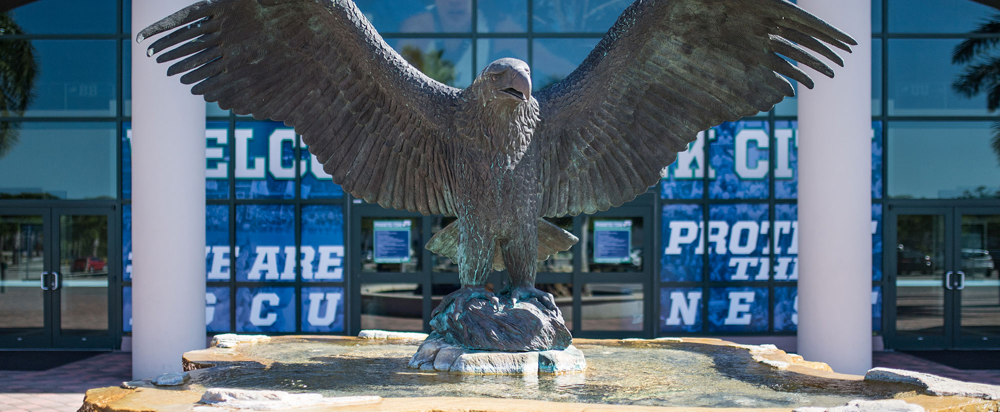 Photo of FGCU Eagle