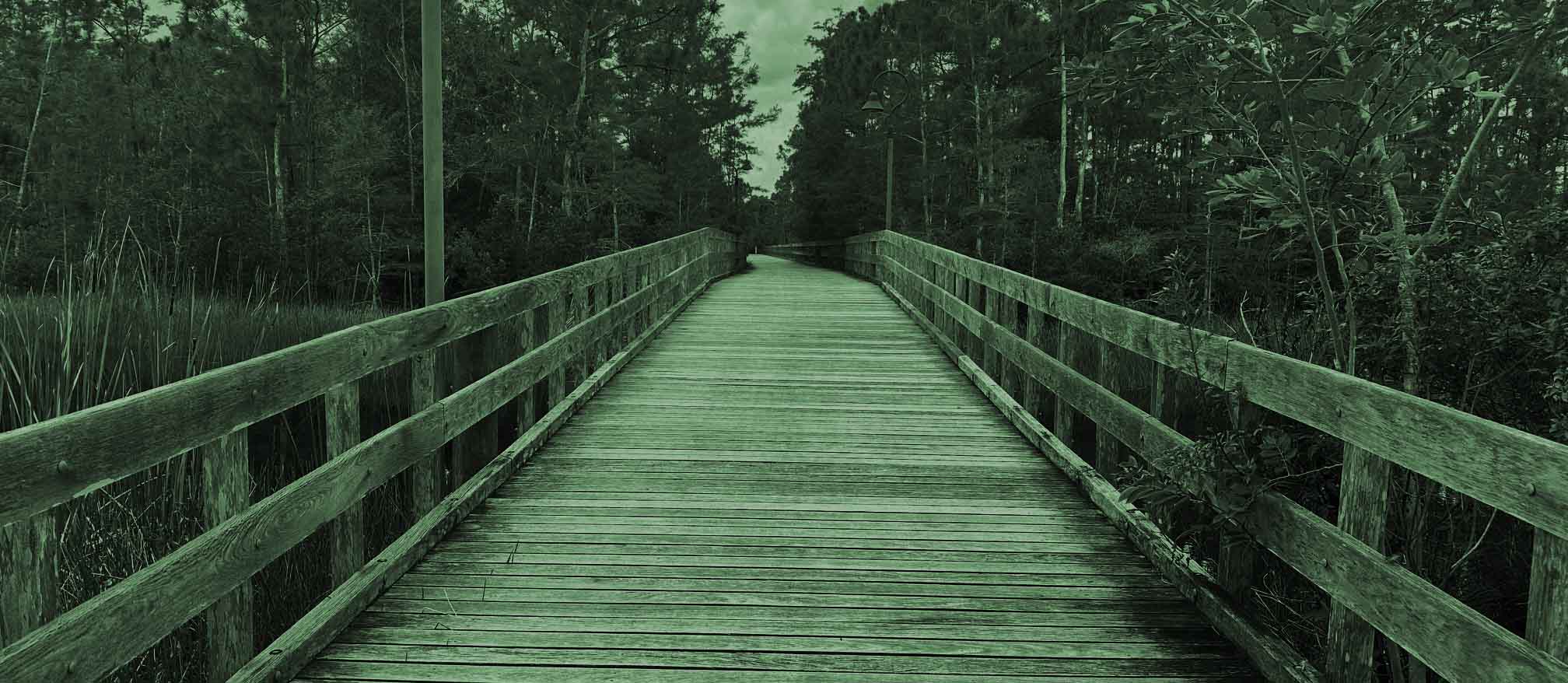 FGCU DKSOE