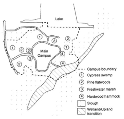 FGCU's Watershed Image