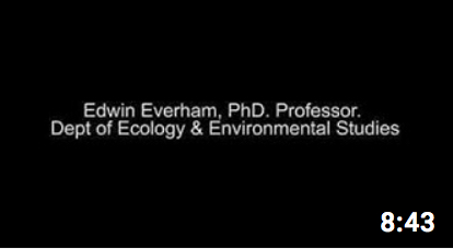 Panel Discussion: Edwin Everham