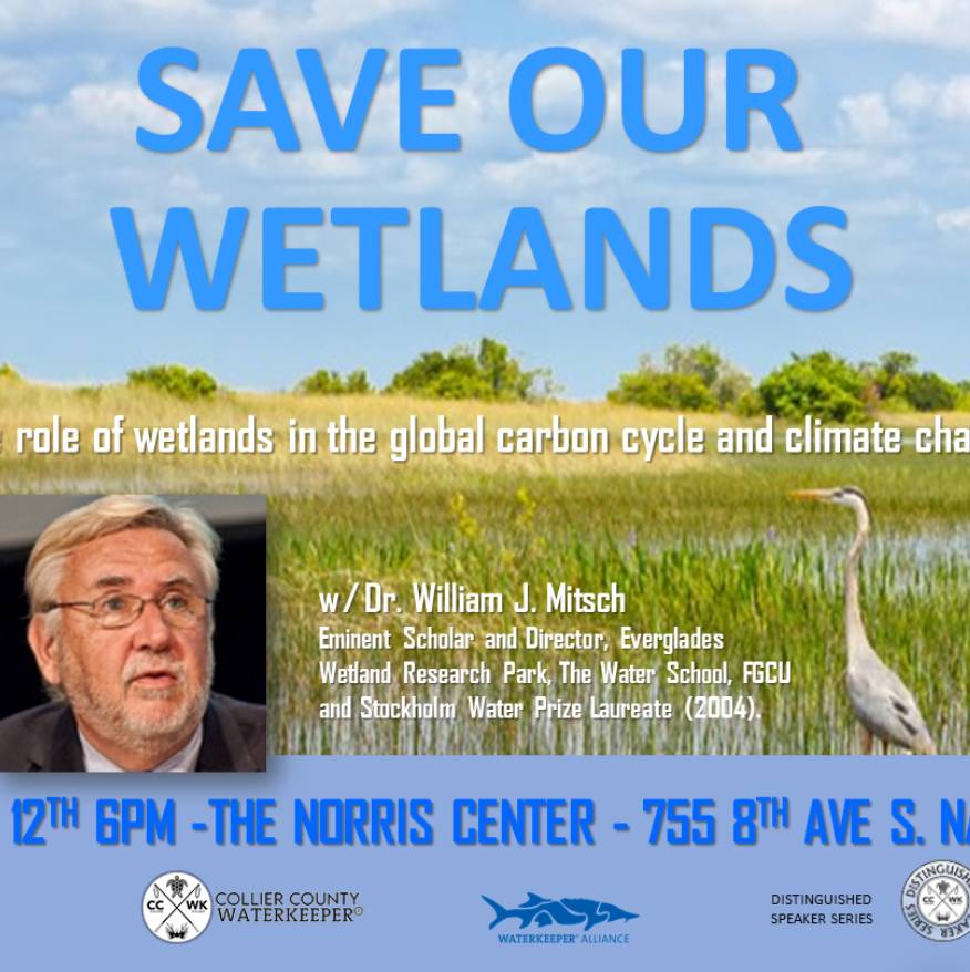 Save Wetlands - Bill Mitsch