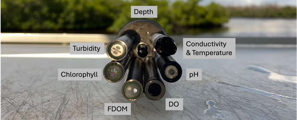 A detailed image of the sensors on a datasonde. 