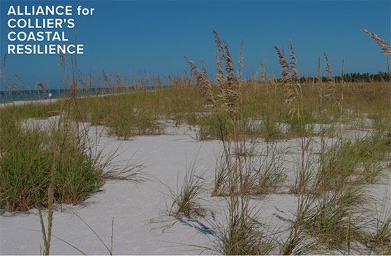Photo of Coastal Alliance website