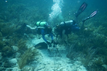 FGCU underwater research