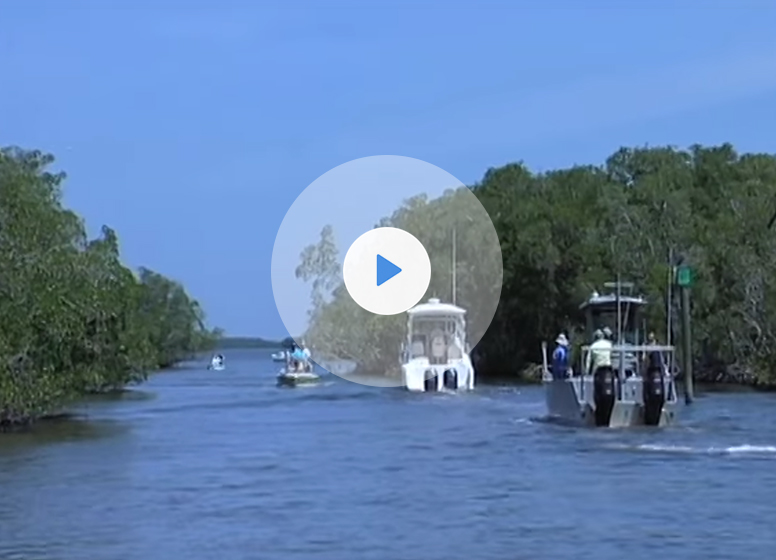 Oyster Reef Restoration